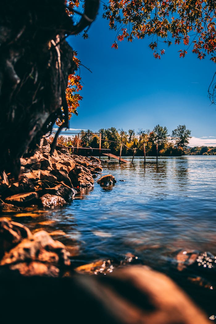 A tranquil autumn lakeside with vibrant leaves and a rocky shoreline under a clear blue sky.
