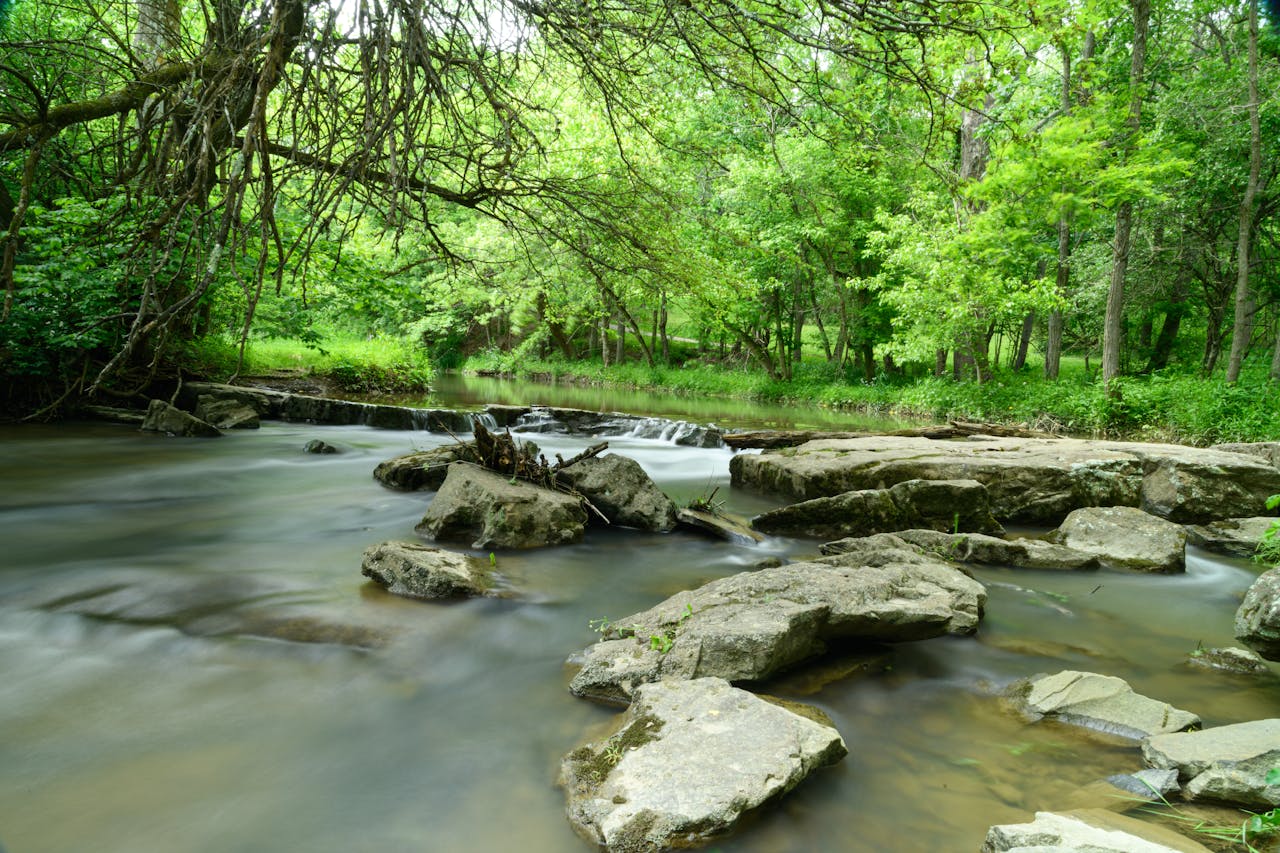 Tranquil stream flowing through lush green forest and rocks during daylight.